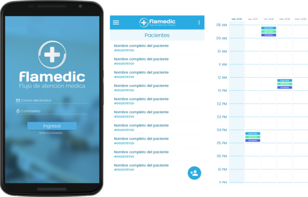 Three screens from the "Flamedic" medical application: login page, patient list, and appointment schedule.